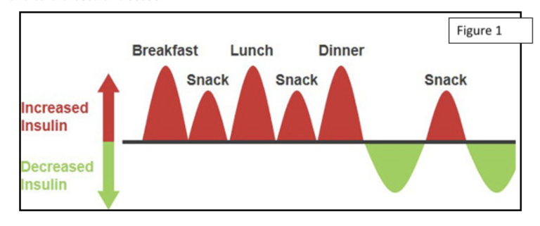 How Intermittent Fasting Can Help You to Lose Weight - The Endocrine Doc